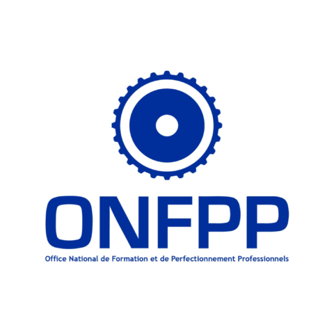 Obtenez-gratuiement-une-licence-canvas-5-480x480-1